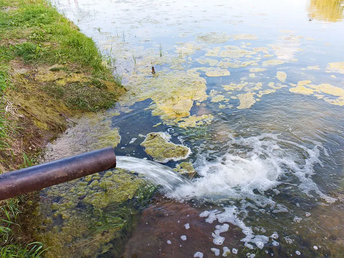 jencap-site-pollution-program